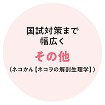 国試対策まで幅広くその他（ネコかん【ネコヲの解剖生理学】）